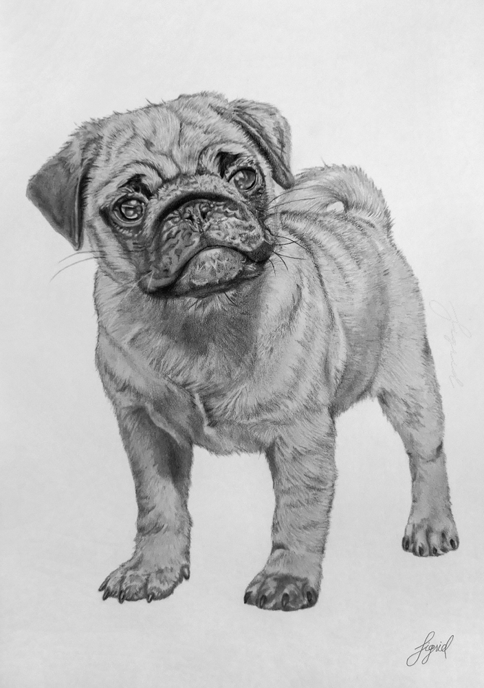 Lyijykynätyö_Sigrid_2