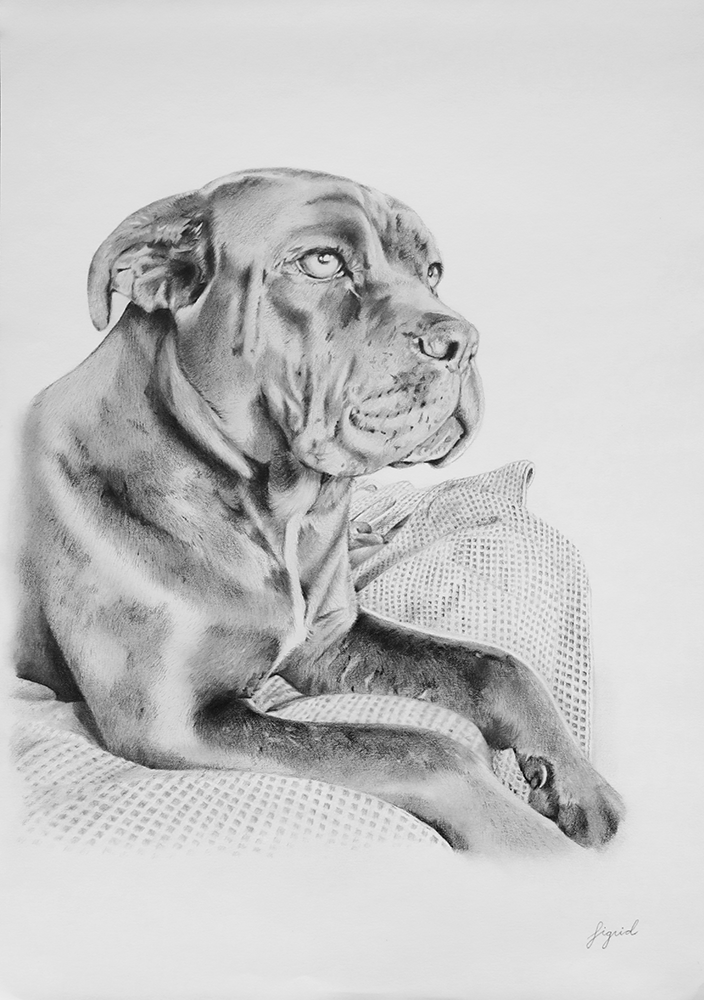 Lyijykynätyö_Sigrid_4