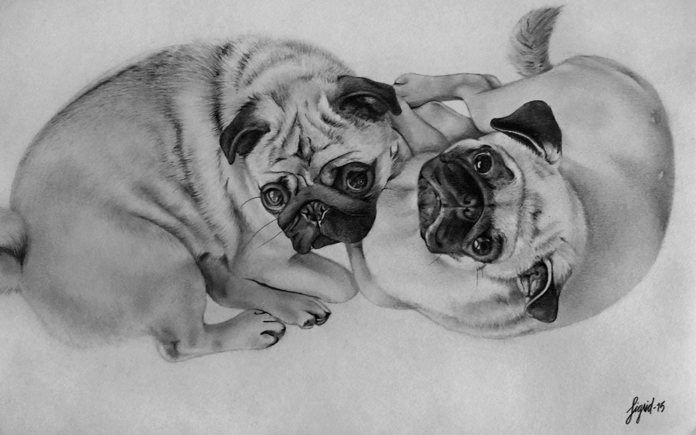 Lyijykynätyö_Sigrid_6